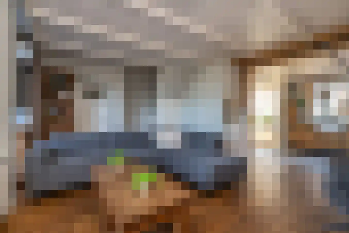 Molendijk 13 Nieuwe-Tonge thumbnail 12