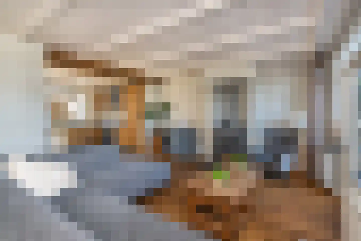 Molendijk 13 Nieuwe-Tonge thumbnail 15