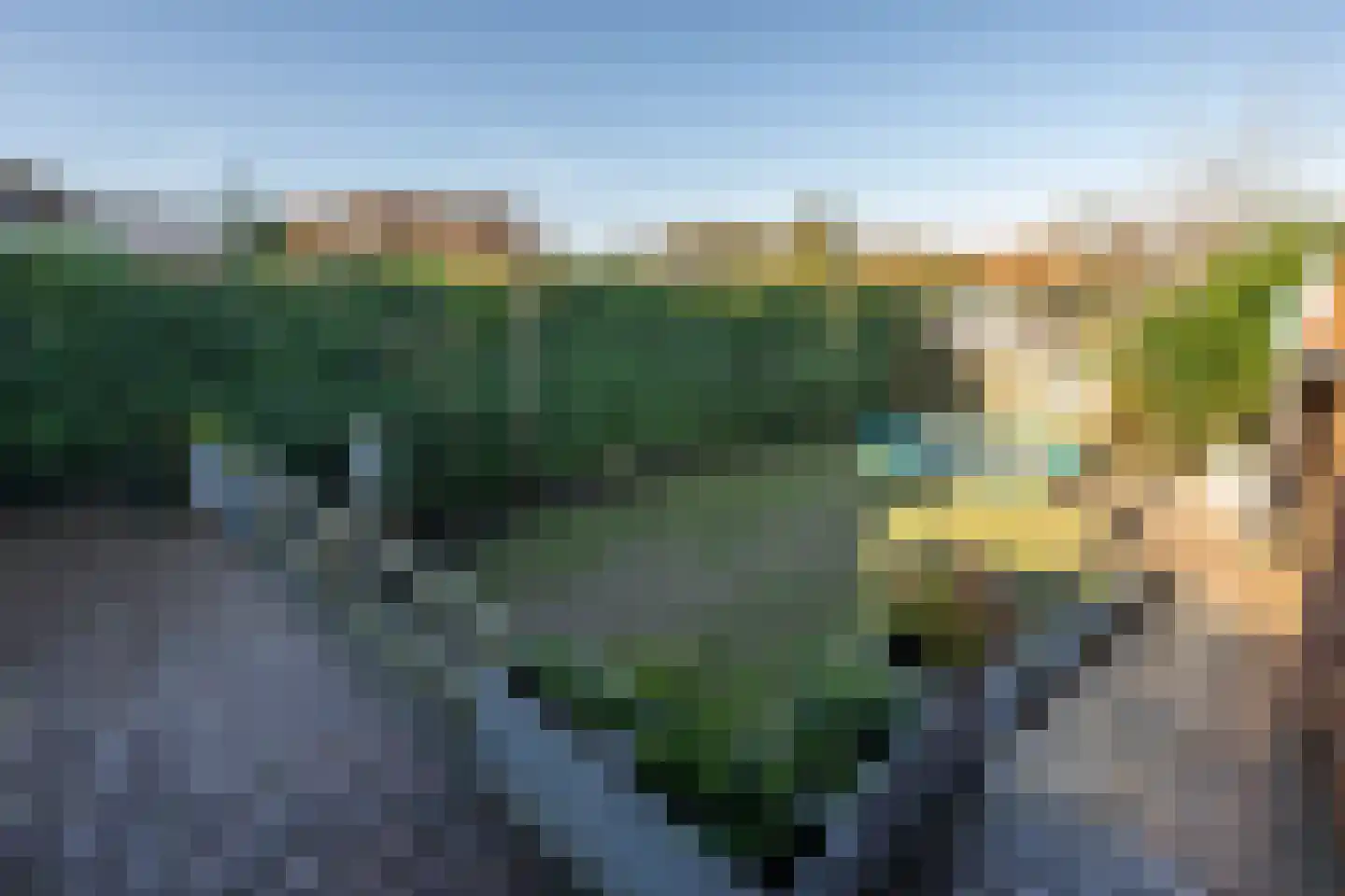 Molendijk 13 Nieuwe-Tonge thumbnail 33