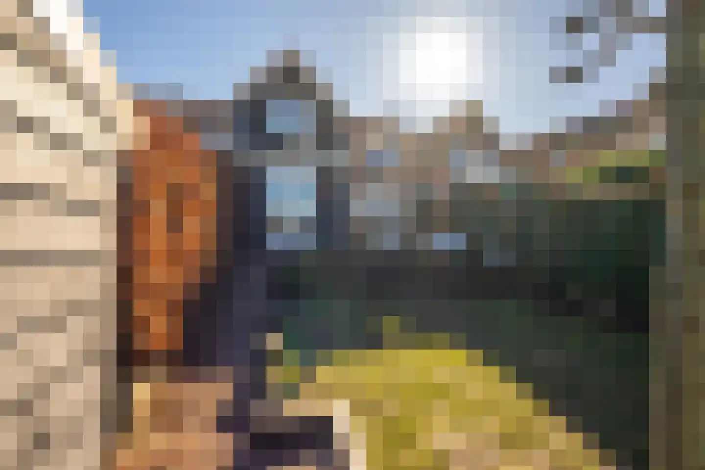 Molendijk 13 Nieuwe-Tonge thumbnail 37
