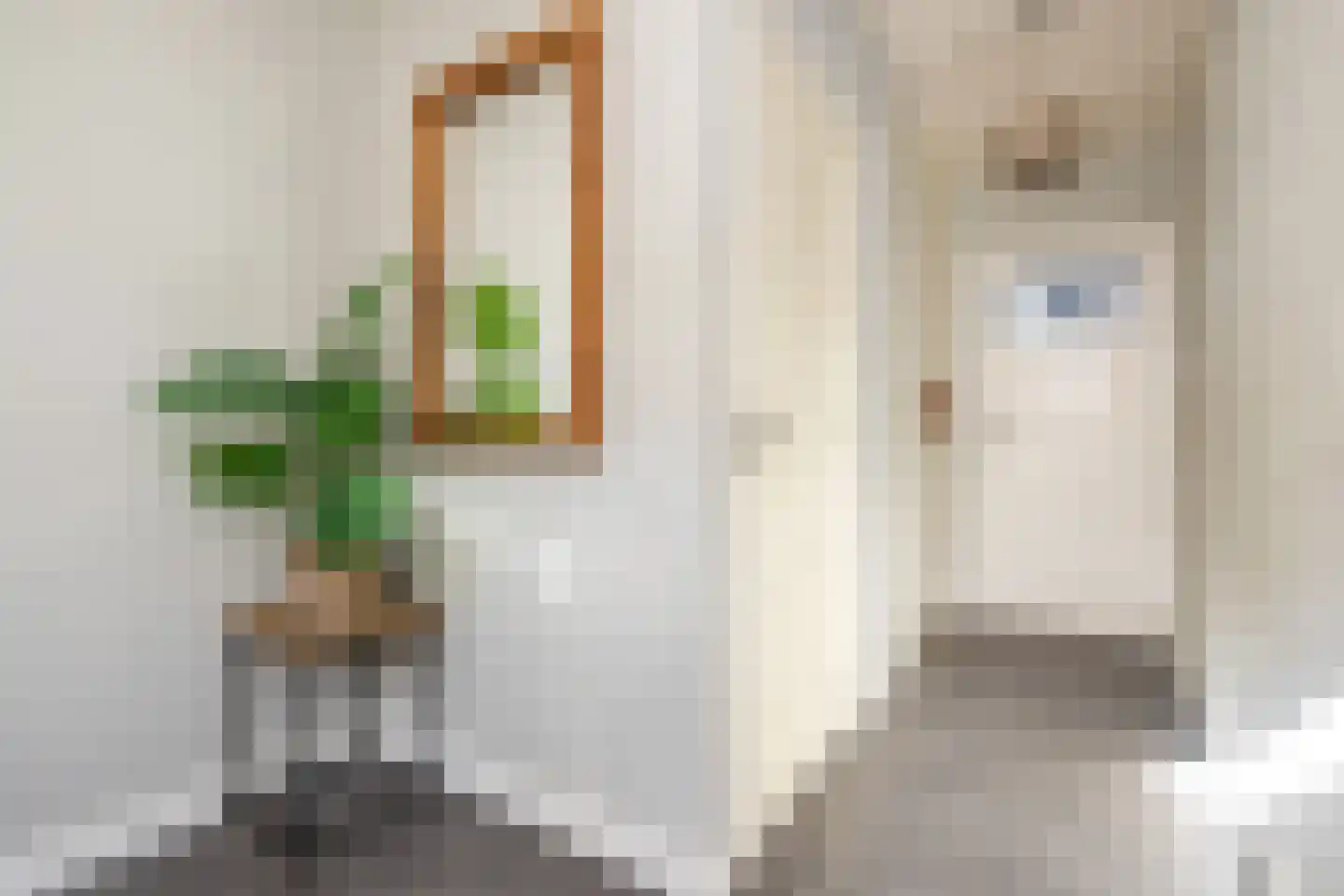 Molendijk 13 Nieuwe-Tonge thumbnail 7