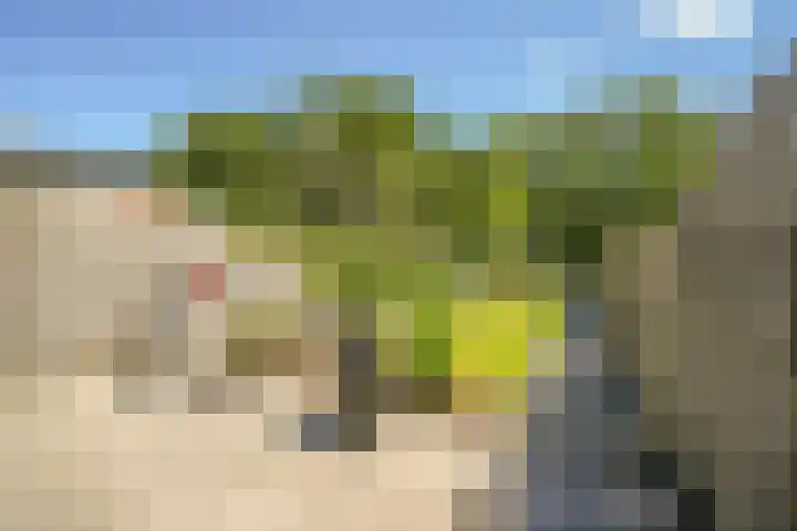 Molendijk 13 Ooltgensplaat thumbnail 35