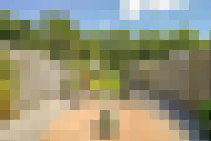 Molendijk 13 Ooltgensplaat thumbnail 36