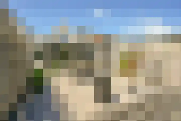 Molendijk 13 Ooltgensplaat thumbnail 37