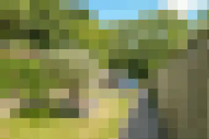 Molendijk 13 Ooltgensplaat thumbnail 38