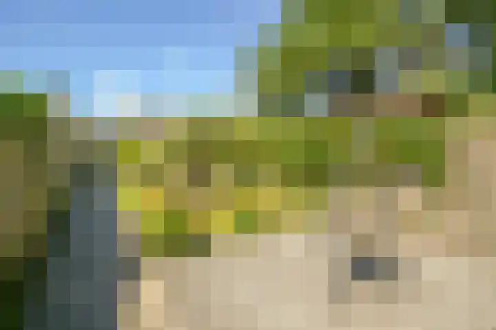 Molendijk 13 Ooltgensplaat thumbnail 5