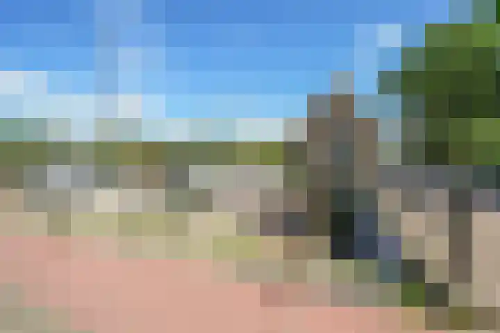 Molendijk 13 Ooltgensplaat thumbnail 50