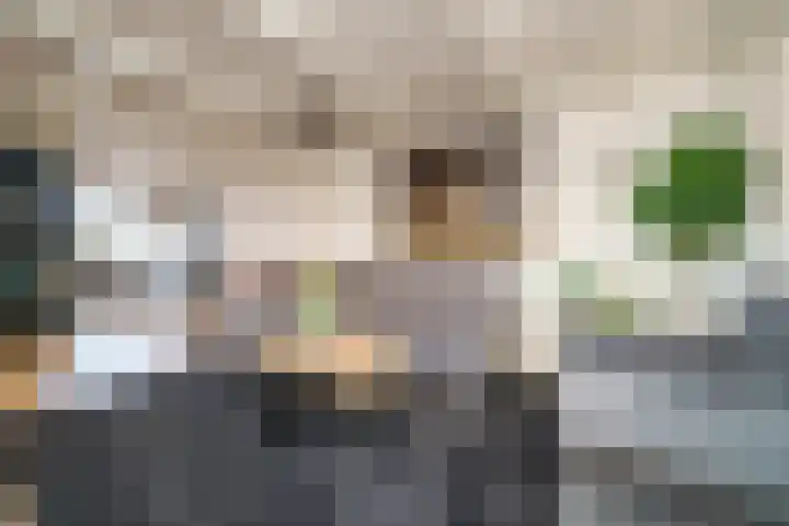 Molendijk 13 Ooltgensplaat thumbnail 8