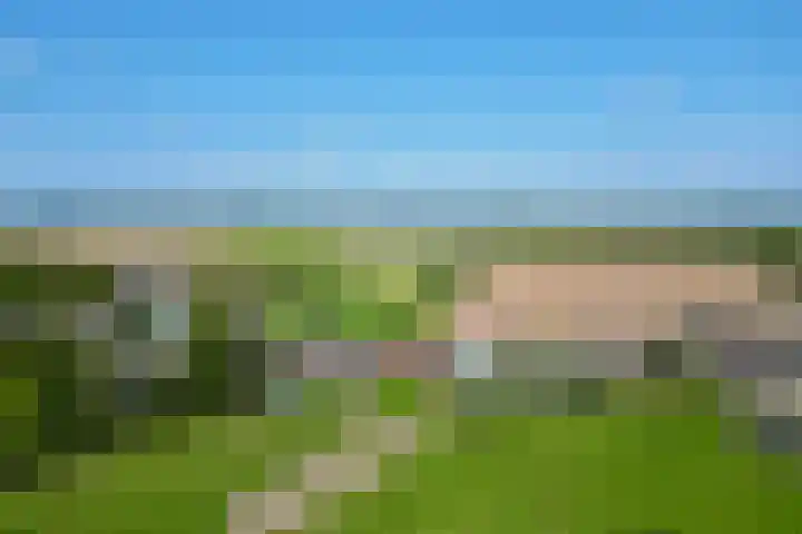 Molendijk 130 Klaaswaal