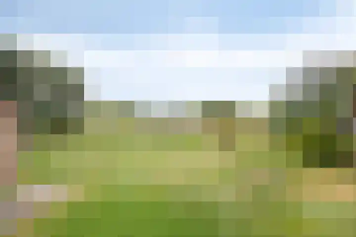 Molendijk 130 Klaaswaal thumbnail 30