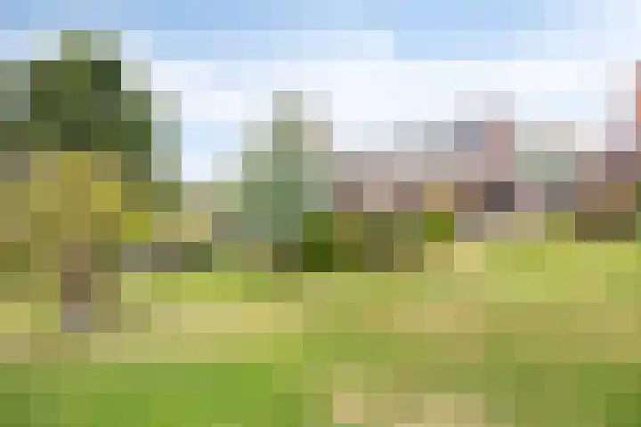 Molendijk 130 Klaaswaal thumbnail 31