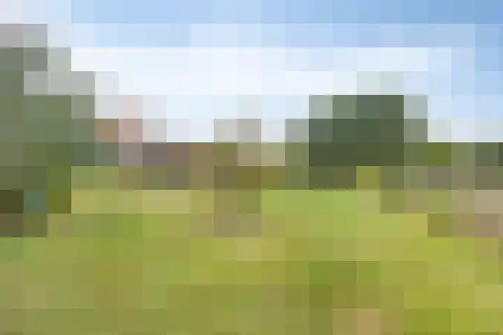 Molendijk 130 Klaaswaal thumbnail 33