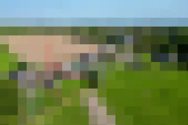 Molendijk 130 Klaaswaal thumbnail 6