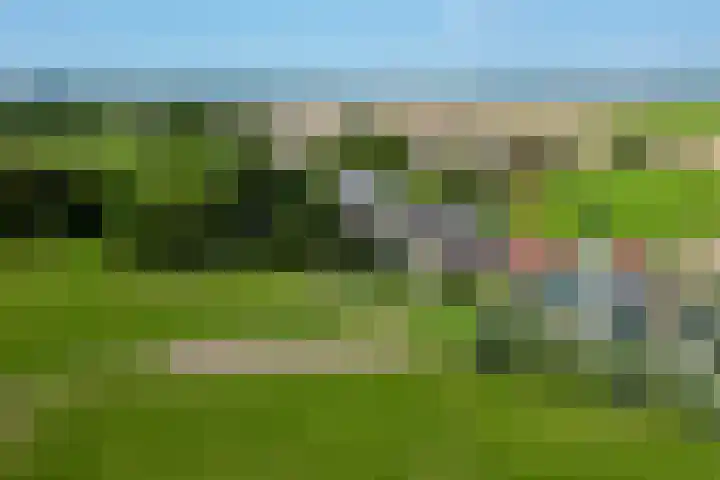 Molendijk 130 Klaaswaal thumbnail 7