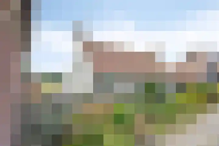 Molendijk 130 Klaaswaal thumbnail 8