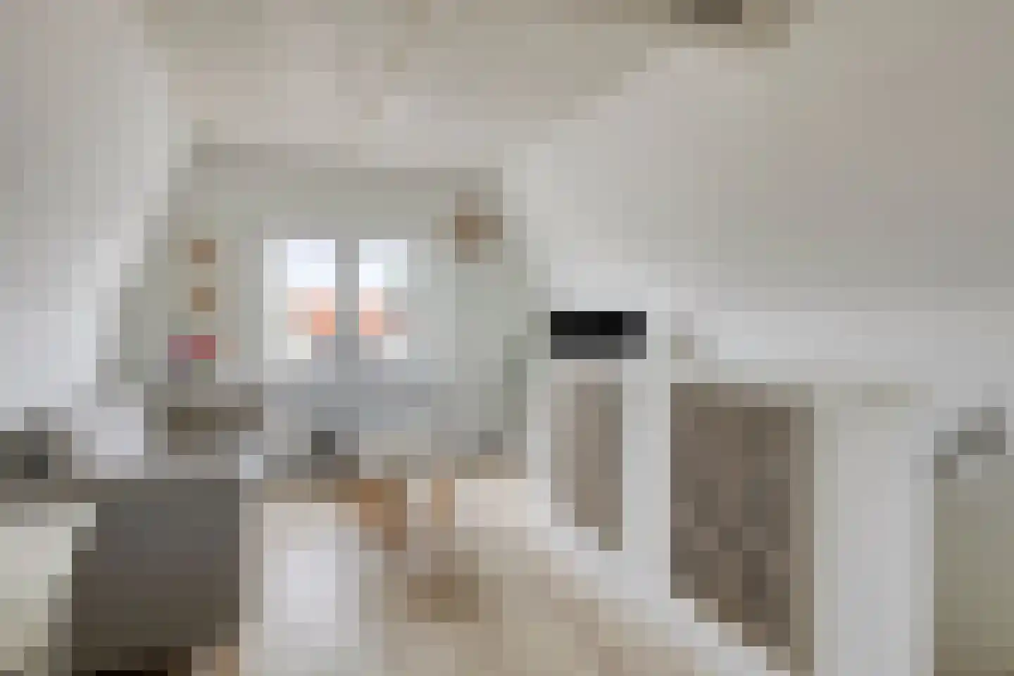 Molendijk 14 Stavenisse thumbnail 10