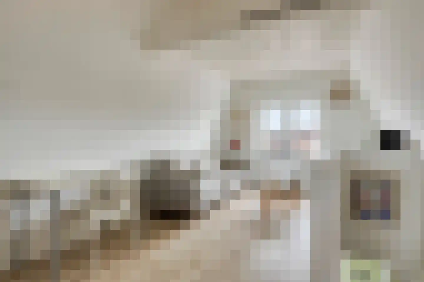 Molendijk 14 Stavenisse thumbnail 9