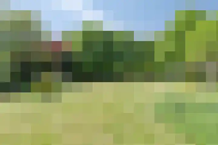 Molendijk 140 a Klaaswaal thumbnail 18