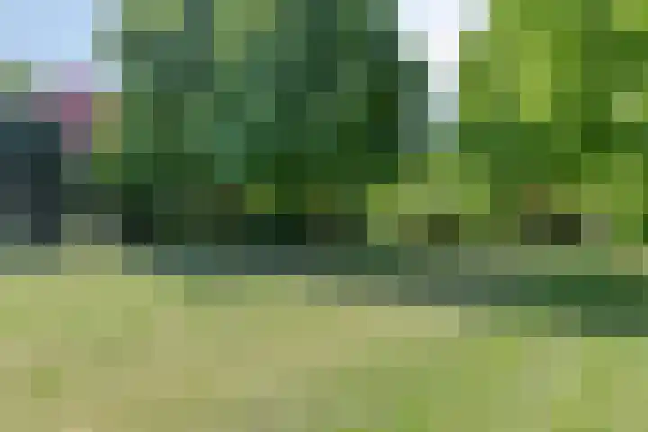 Molendijk 140 a Klaaswaal thumbnail 20