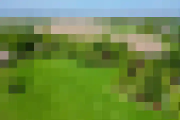 Molendijk 140 a Klaaswaal thumbnail 68