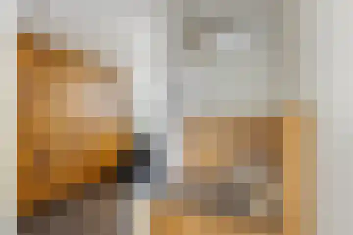 Molendijk 15 Den Bommel thumbnail 10