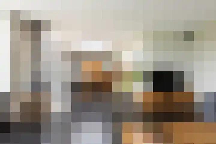 Molendijk 15 Den Bommel thumbnail 13