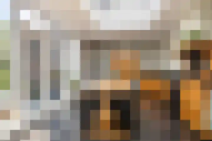 Molendijk 15 Den Bommel thumbnail 14
