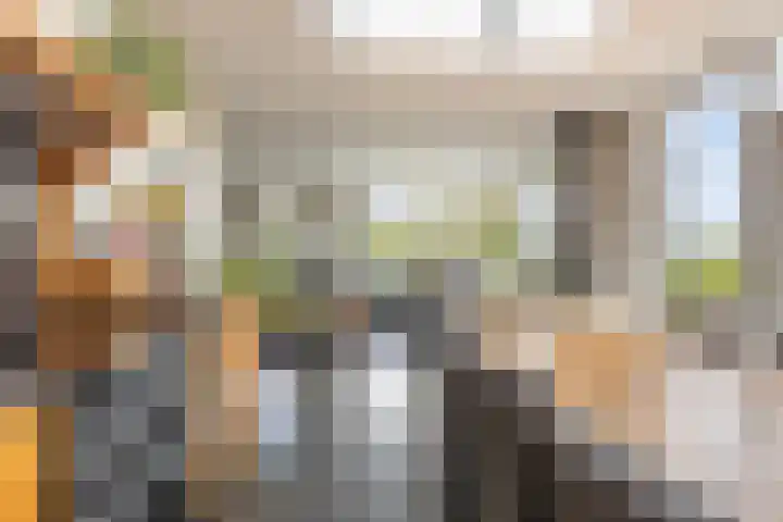 Molendijk 15 Den Bommel thumbnail 15