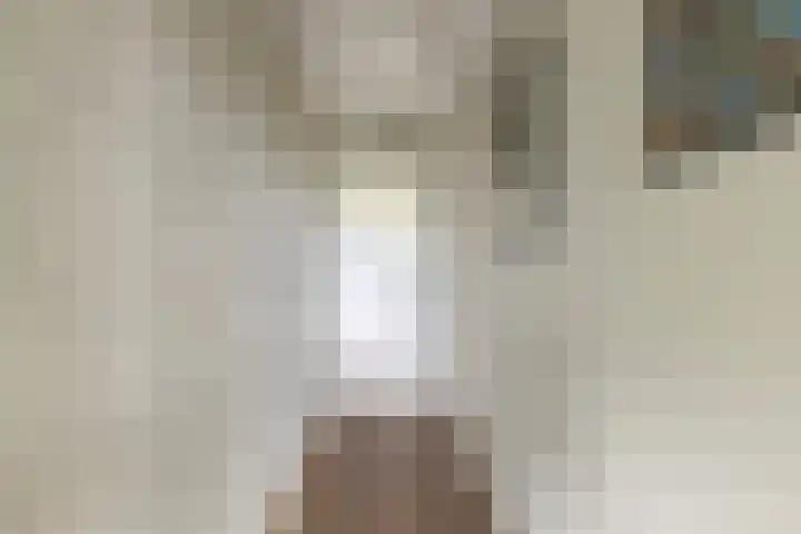 Molendijk 15 Den Bommel thumbnail 25