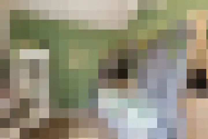 Molendijk 15 Den Bommel thumbnail 26