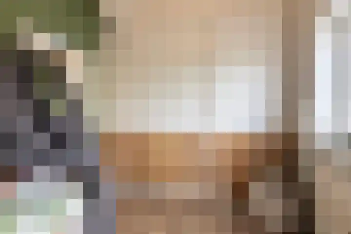 Molendijk 15 Den Bommel thumbnail 27