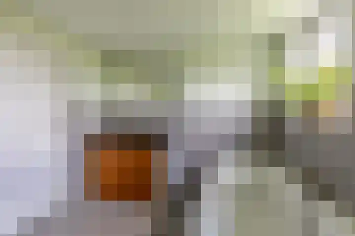 Molendijk 15 Den Bommel thumbnail 28