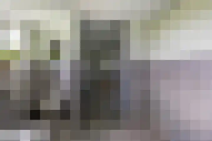 Molendijk 15 Den Bommel thumbnail 29