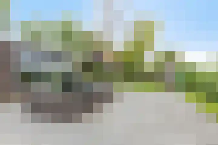 Molendijk 15 Den Bommel thumbnail 35