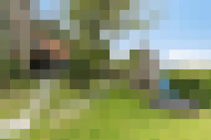 Molendijk 15 Den Bommel thumbnail 36