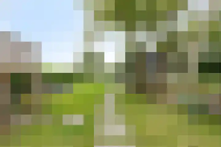 Molendijk 15 Den Bommel thumbnail 37