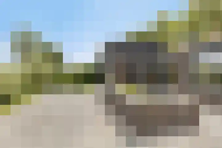 Molendijk 15 Den Bommel thumbnail 4