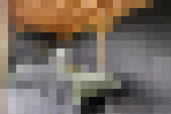 Molendijk 15 Den Bommel thumbnail 40
