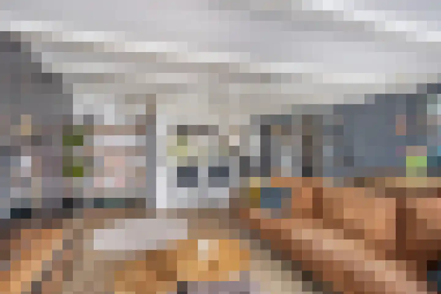 Molendijk 15 Ooltgensplaat thumbnail 13