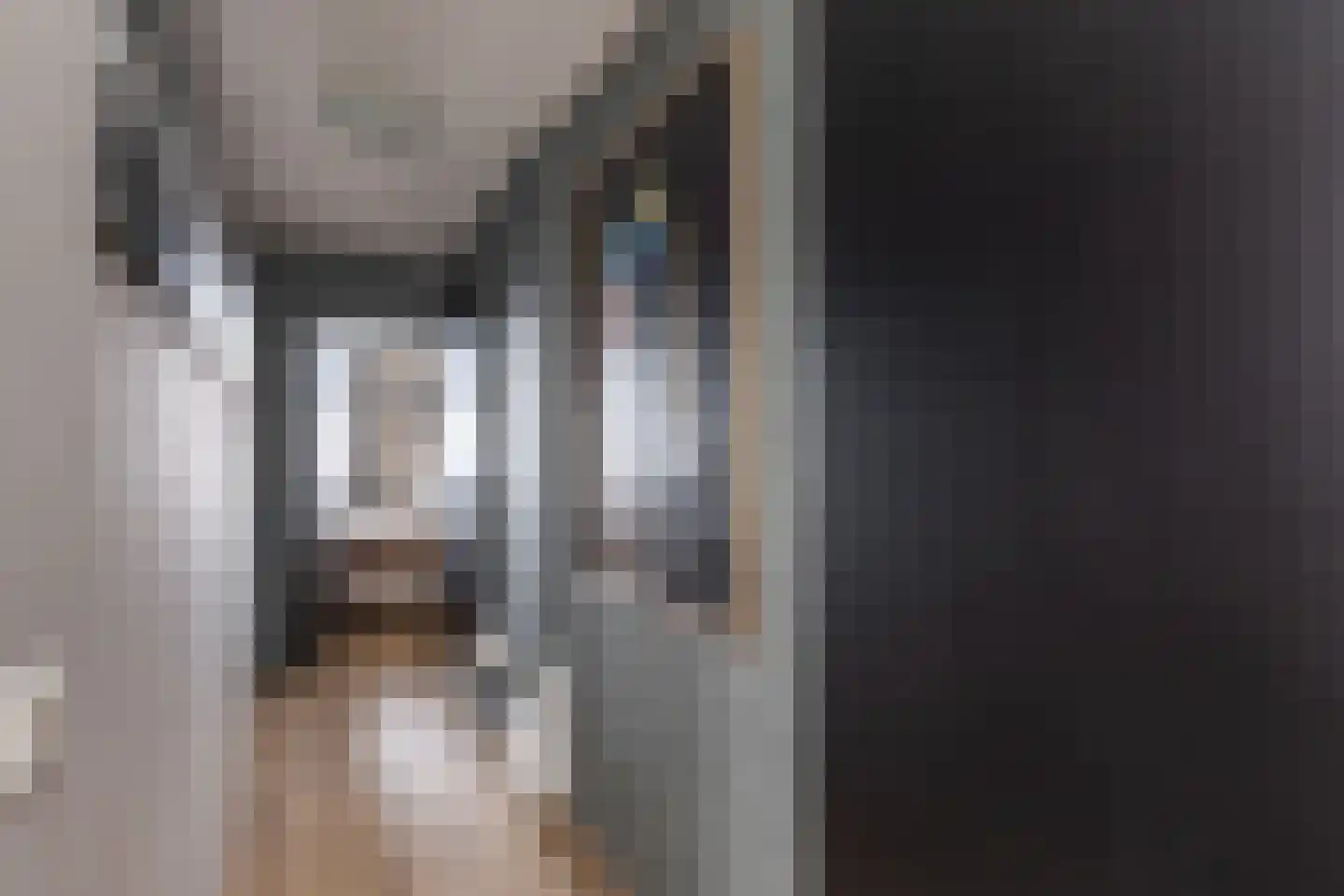 Molendijk 15 Ooltgensplaat thumbnail 21