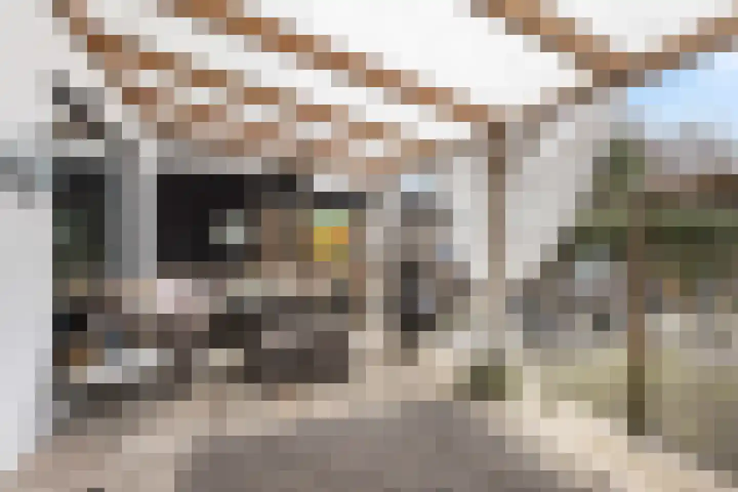 Molendijk 15 Ooltgensplaat thumbnail 37