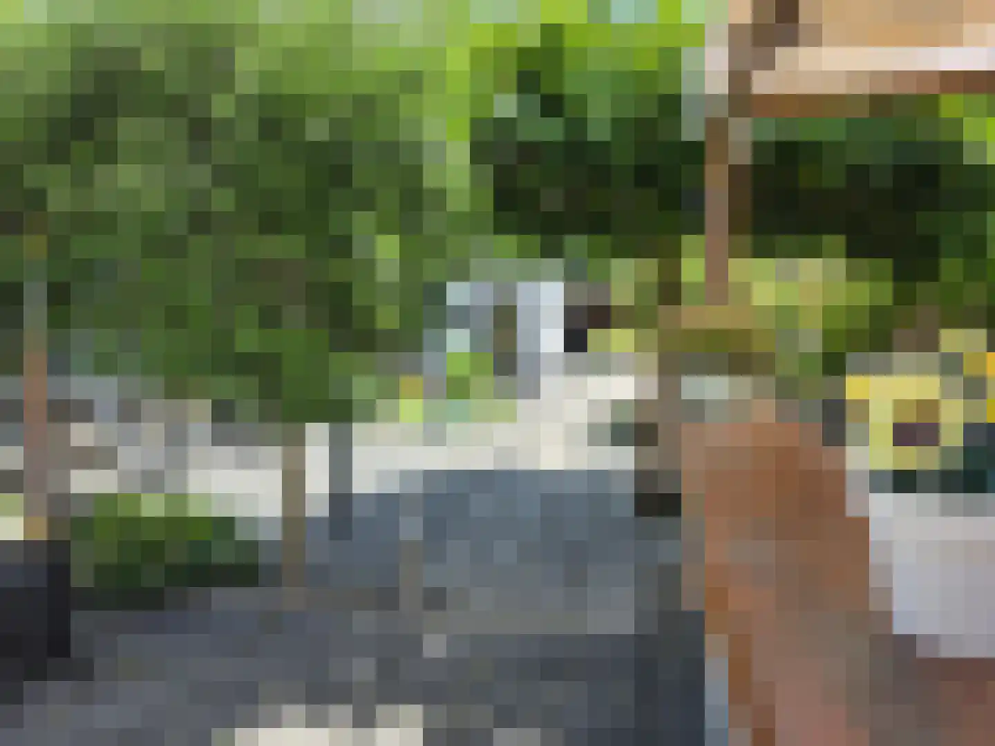 Molendijk 15 Ooltgensplaat thumbnail 38