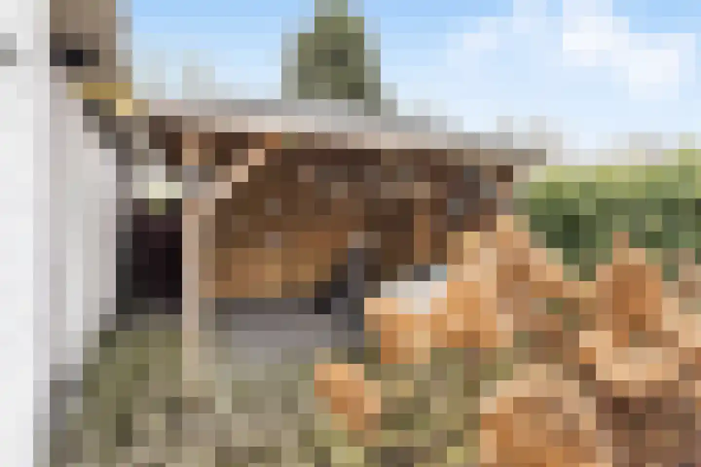 Molendijk 15 Ooltgensplaat thumbnail 44