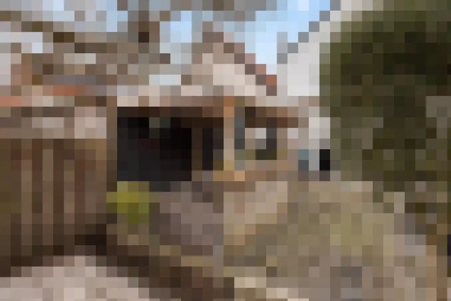 Molendijk 15 Ooltgensplaat thumbnail 47