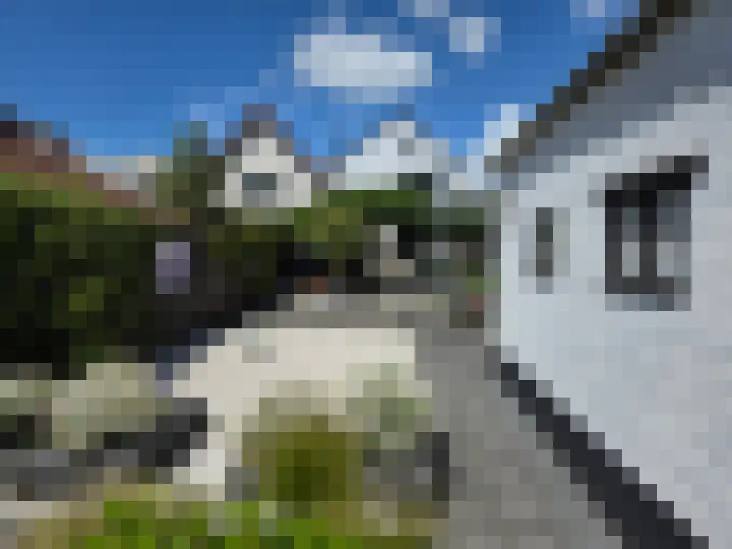 Molendijk 15 Ooltgensplaat thumbnail 58