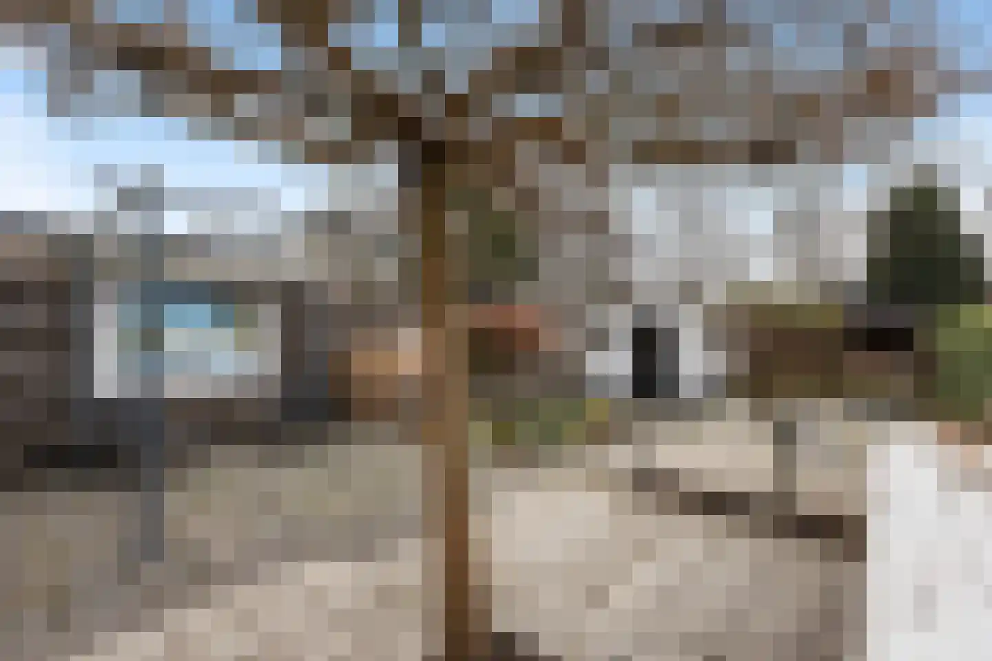 Molendijk 15 Ooltgensplaat thumbnail 8