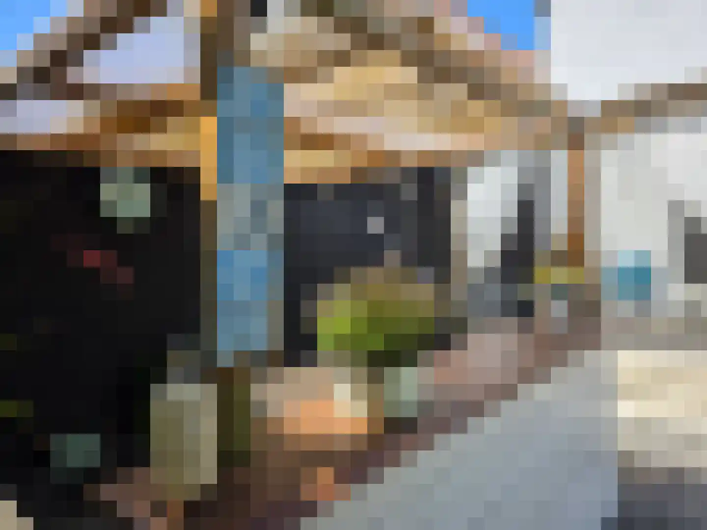 Molendijk 15 Ooltgensplaat thumbnail 9