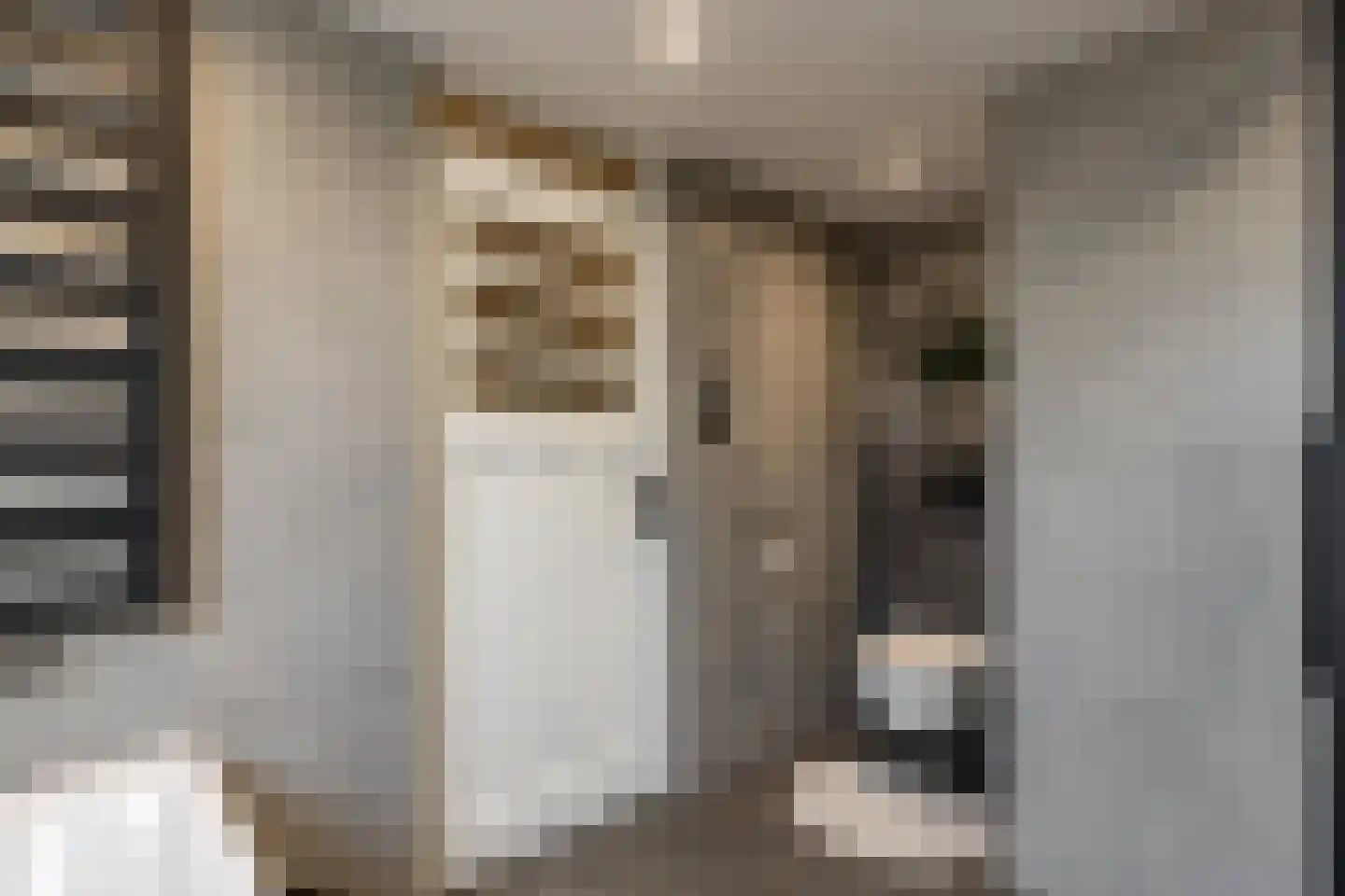 Molendijk 15 Rockanje thumbnail 21