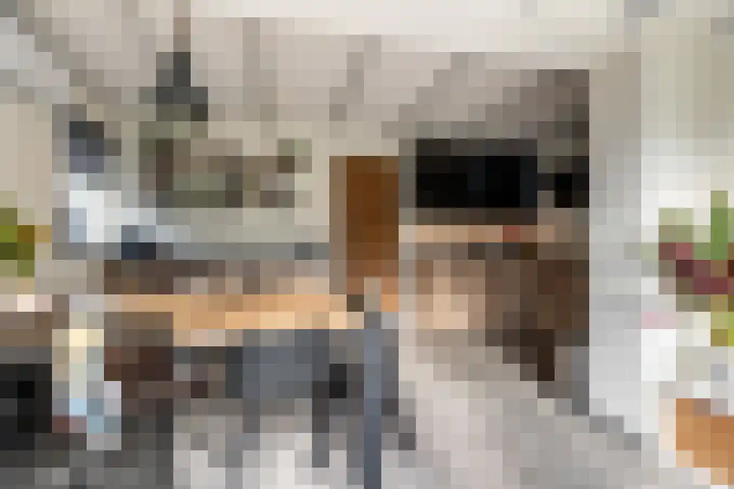 Molendijk 15 Rockanje thumbnail 22