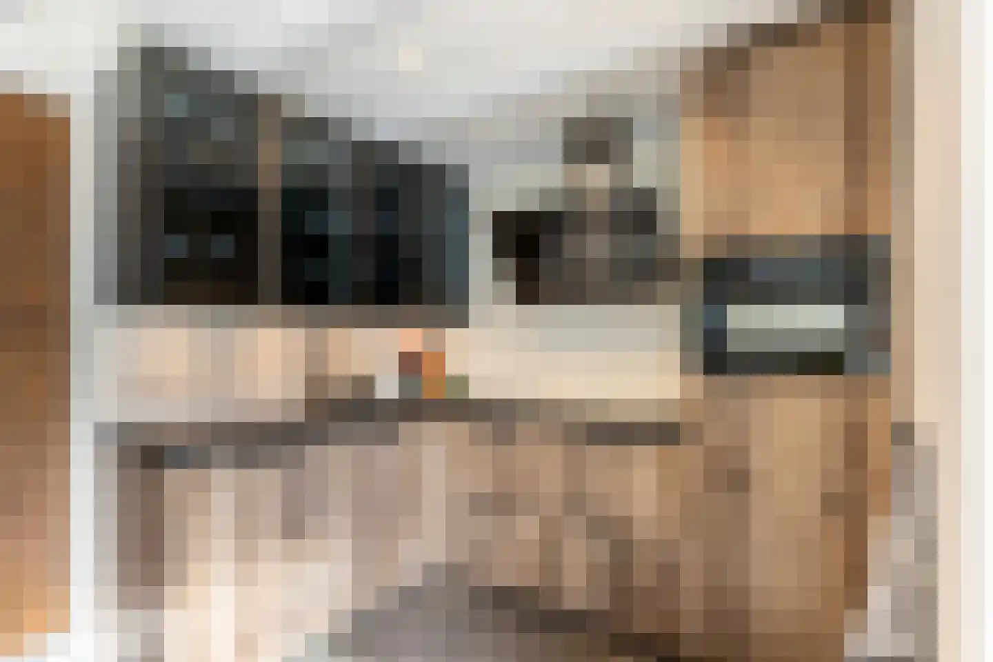Molendijk 15 Rockanje thumbnail 23